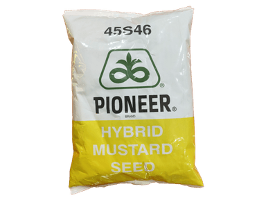 Pioneer 45S46 Hybrid Mustard Seed | High Yield & Good Oil Content