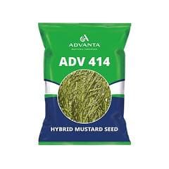 Advanta ADV 414 Hybrid Mustard Seeds