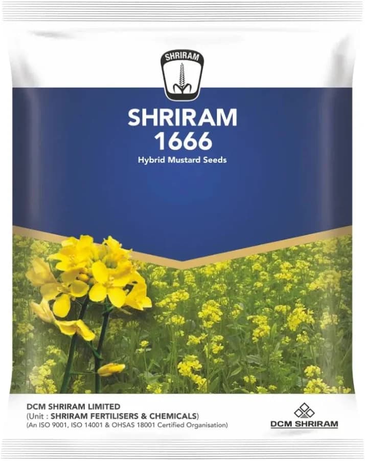श्रीराम 1666 सरसों बीज